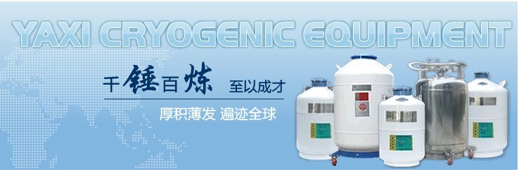液氮容器贮存（YDS-30-125）