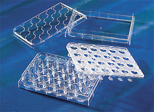 corning康宁 hts transwell-24孔透过性支持物 0.4umpet膜孔径 (3379)