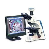 奥特光学BK系列数码生物显微镜BK-DM320