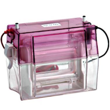 Wealtec 湿转槽E-Blotter complete system