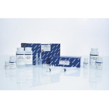 QIAGEN Plasmid Plus Maxi Kit (25)