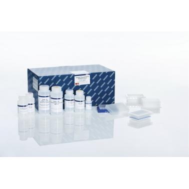 QIAGEN Plasmid Plus 96 Miniprep  Kit (4)