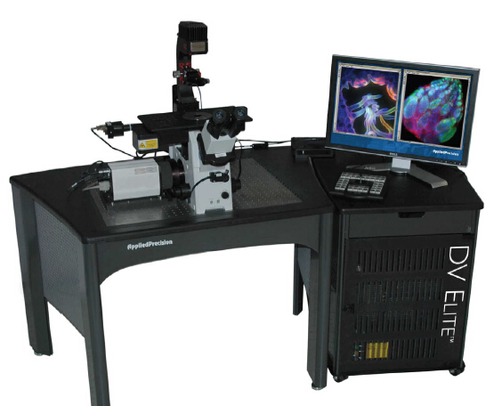DeltaVision高分辨率活细胞成像系统