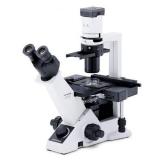 OLYMPUS奥林巴斯 CKX31临床级倒置显微镜(双目)