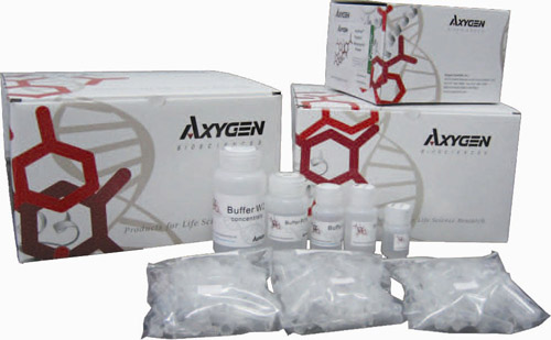 AxyPrep-96 质粒DNA试剂盒