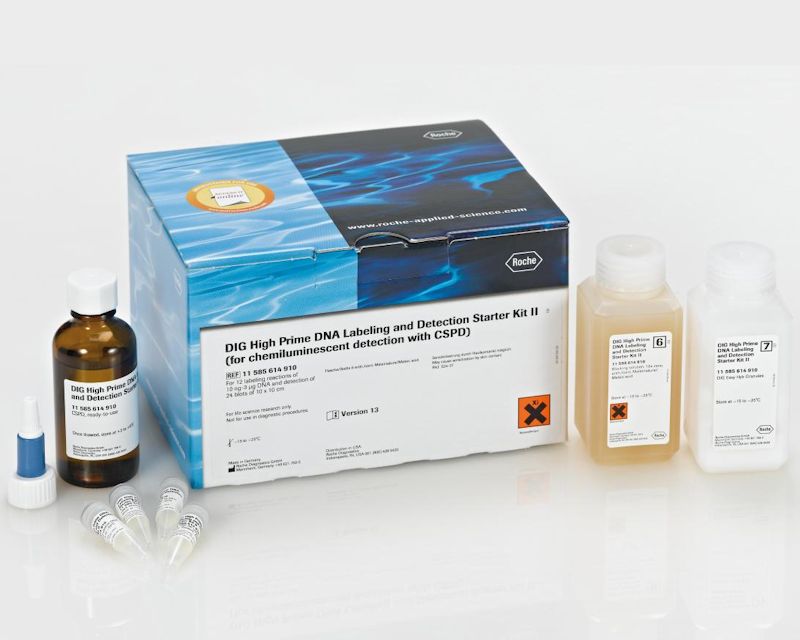 高效DNA地高辛标记检测试剂盒II型(Roche 11585614910)