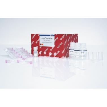 Qiagen RNeasy Mini Kit