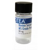 质谱 BSA (Bovine Serum Albumin)标准品
