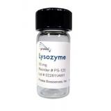 质谱Lysozyme标准品