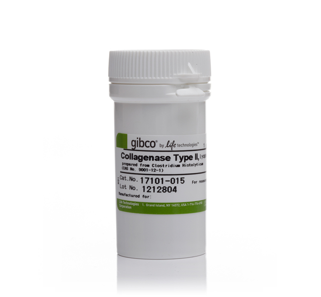 Gibco 胶原酶IV
