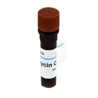 roche 丝裂霉素C