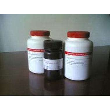 Roche 牛血清白蛋白Ⅴ