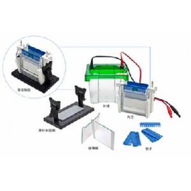 Bio-Rad伯乐 小型垂直电泳槽 1658003