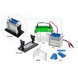 Bio-Rad伯乐 小型垂直电泳槽 1658003