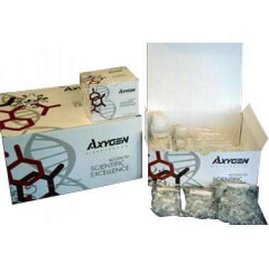 AxyPrep 血基因组DNA中量制备试剂盒