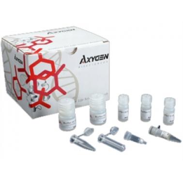 AxyPrep 细菌基因组DNA小量制备试剂盒 (TaKaRa OEM)