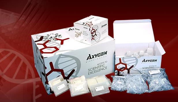 AxyPrep 无内毒素质粒小量试剂盒