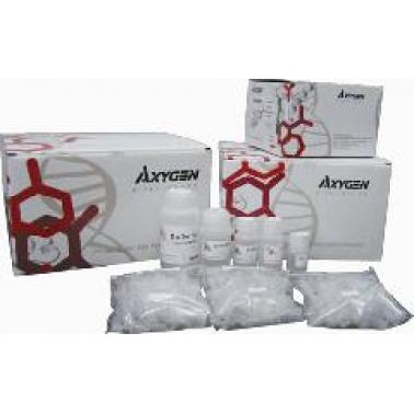 AxyPrep 血RNA小量制备试剂盒