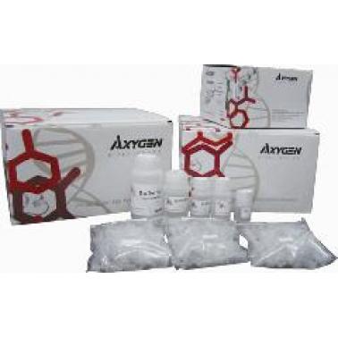 AxyPrep 总RNA中量制备试剂盒