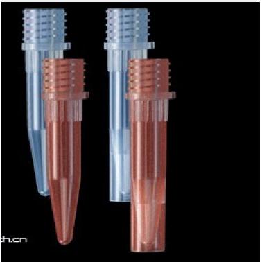 Axygen 爱思进 1.5ml螺口无盖棕色不可立冻存管ST-150-X