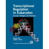 Transcriptional Regulation in Eukaryotes