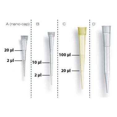 Brand/普兰德 移液器吸头散装 未灭菌 0.5-20µl (702565)