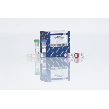 QIAGEN OneStep RT-PCR Kit (100)