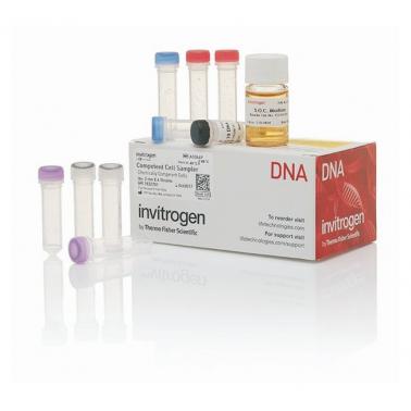 Competent Cell Sampler 