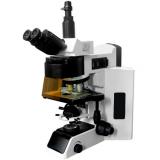 高级落射荧光显微镜 100（三目、五激发）
