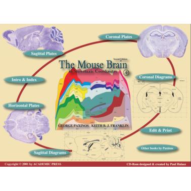 Mouse Brain in Stereotaxic Coordinates